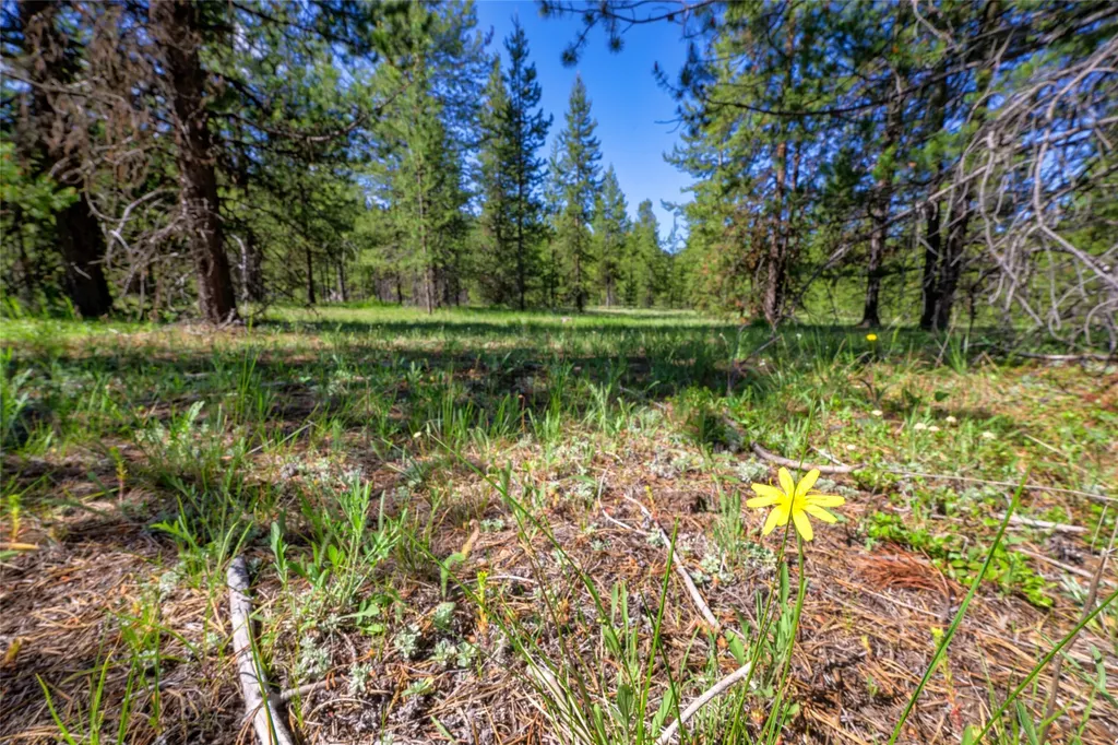 Nhn Happy Acres Lane Sula MT 59871