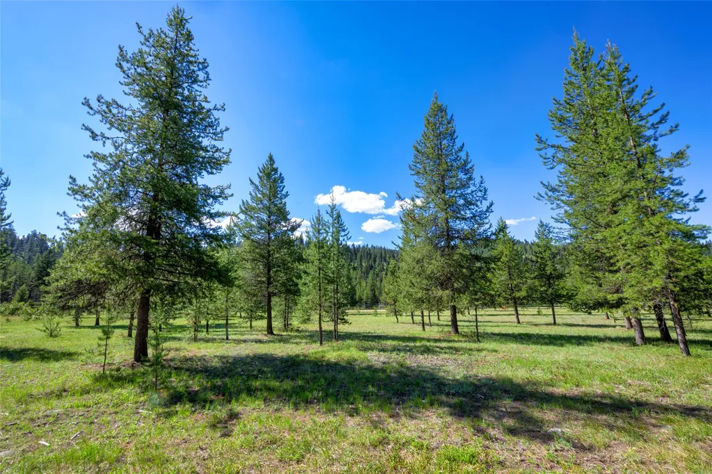Nhn Happy Acres Lane Sula MT 59871