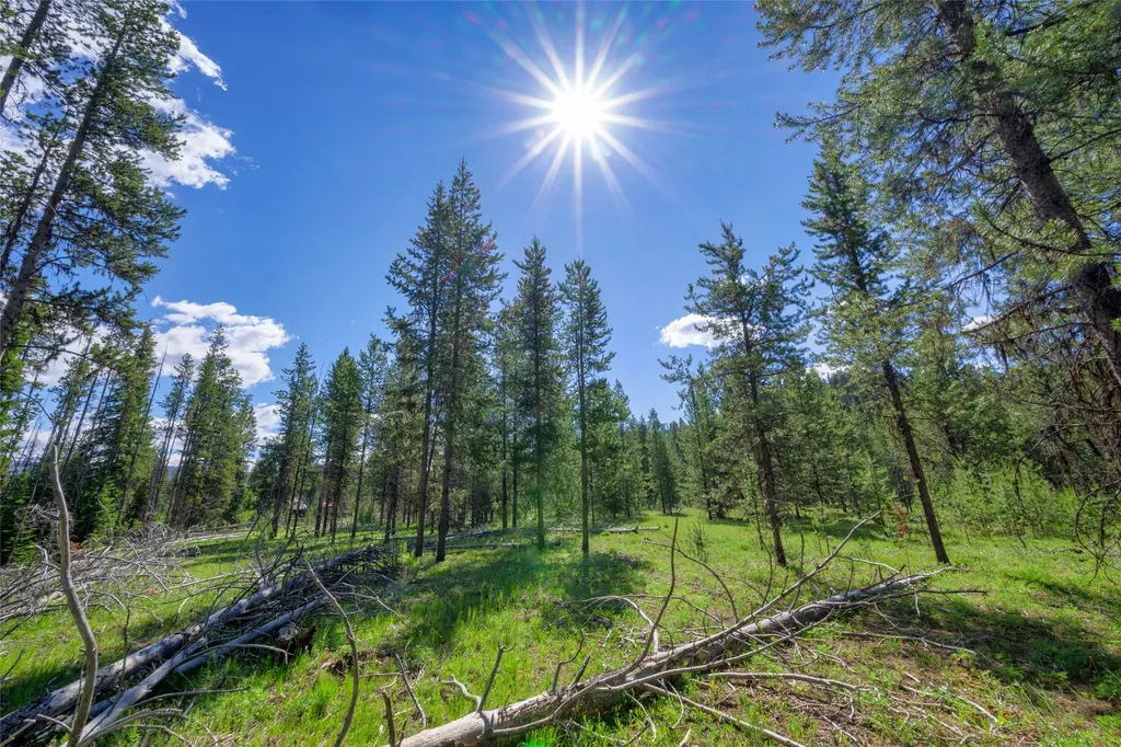 Nhn Happy Acres Lane Sula MT 59871