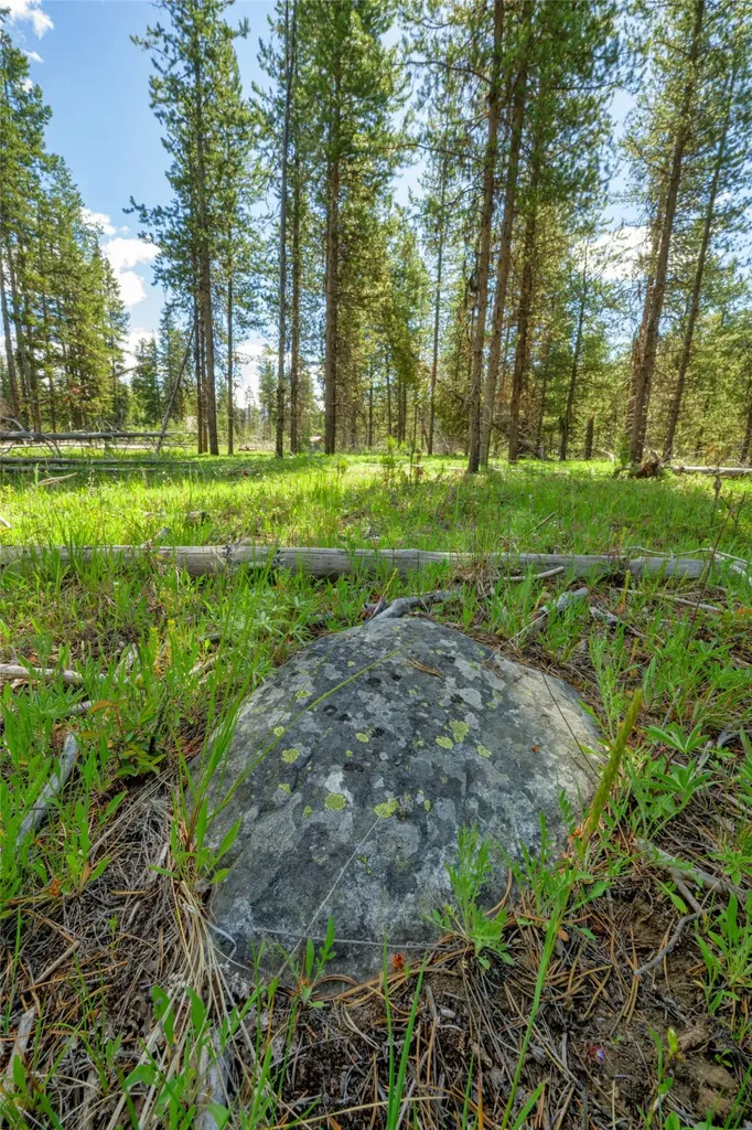 Nhn Happy Acres Lane Sula MT 59871