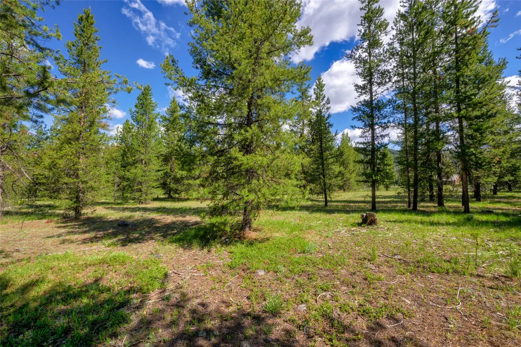 Nhn Happy Acres Lane Sula MT 59871