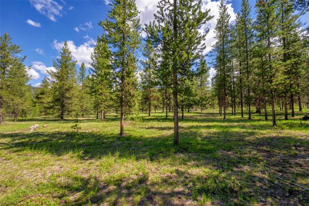 Nhn Happy Acres Lane Sula MT 59871