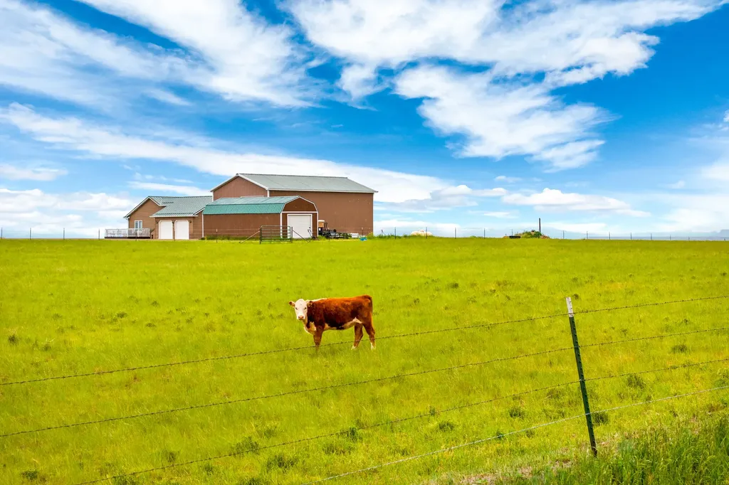 396 Vinyard Road Great Falls MT 59404