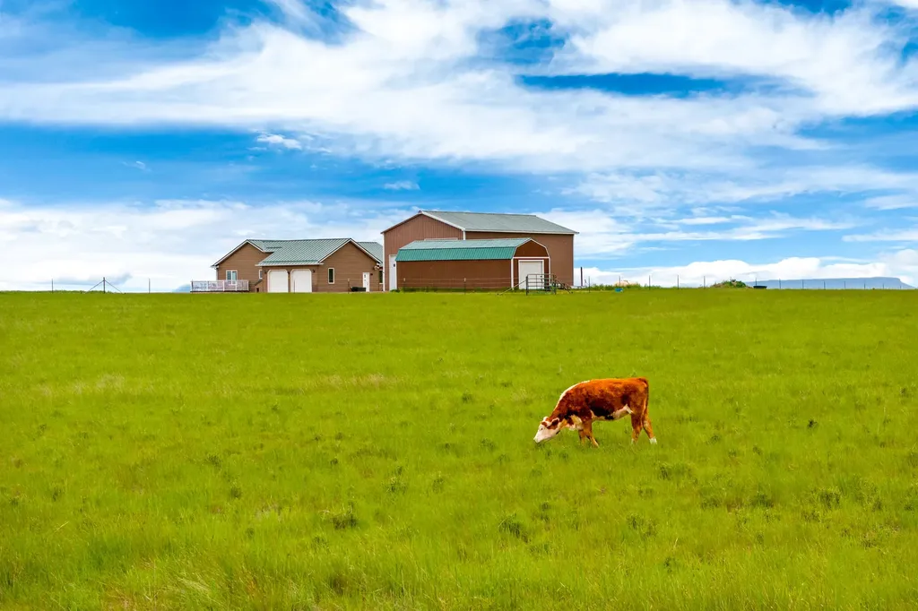 396 Vinyard Road Great Falls MT 59404