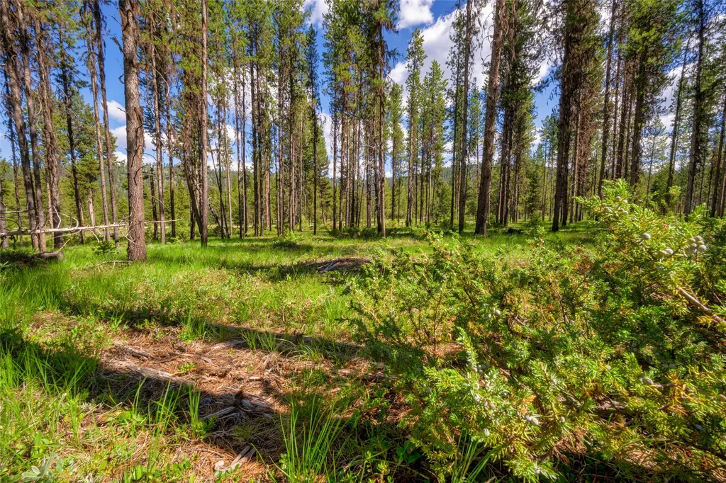 Nhn Happy Acres Lane Sula MT 59871
