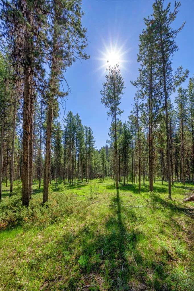 Nhn Happy Acres Lane Sula MT 59871