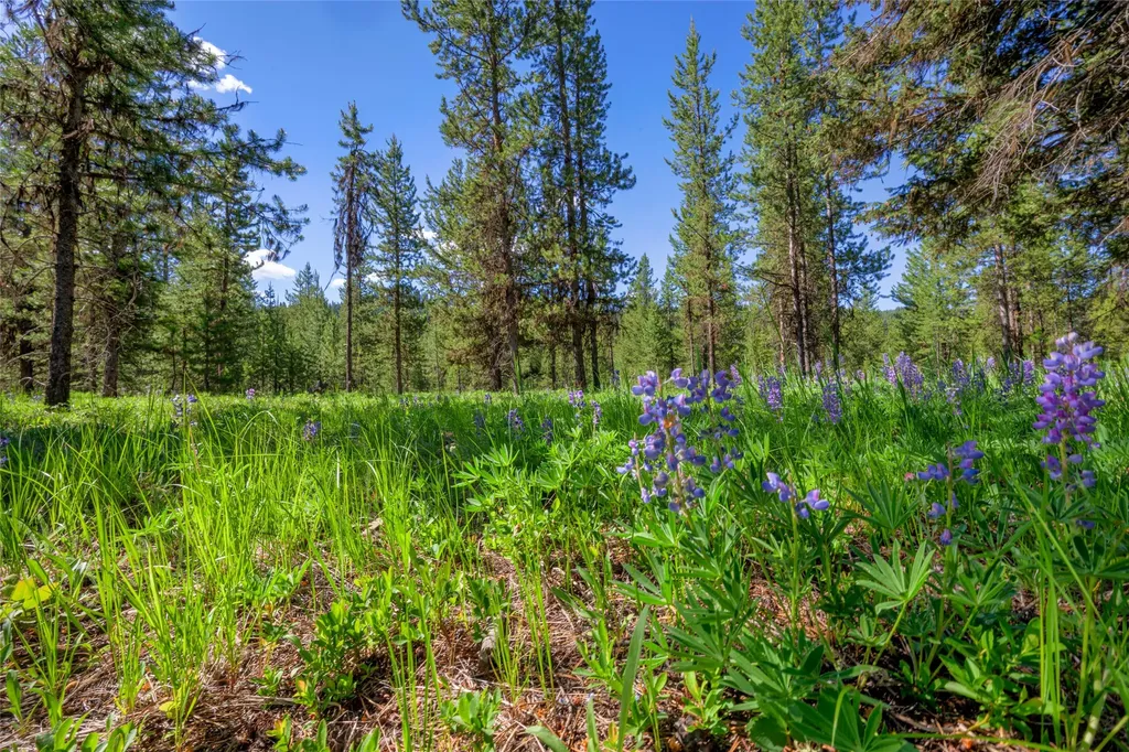 Nhn Happy Acres Lane Sula MT 59871