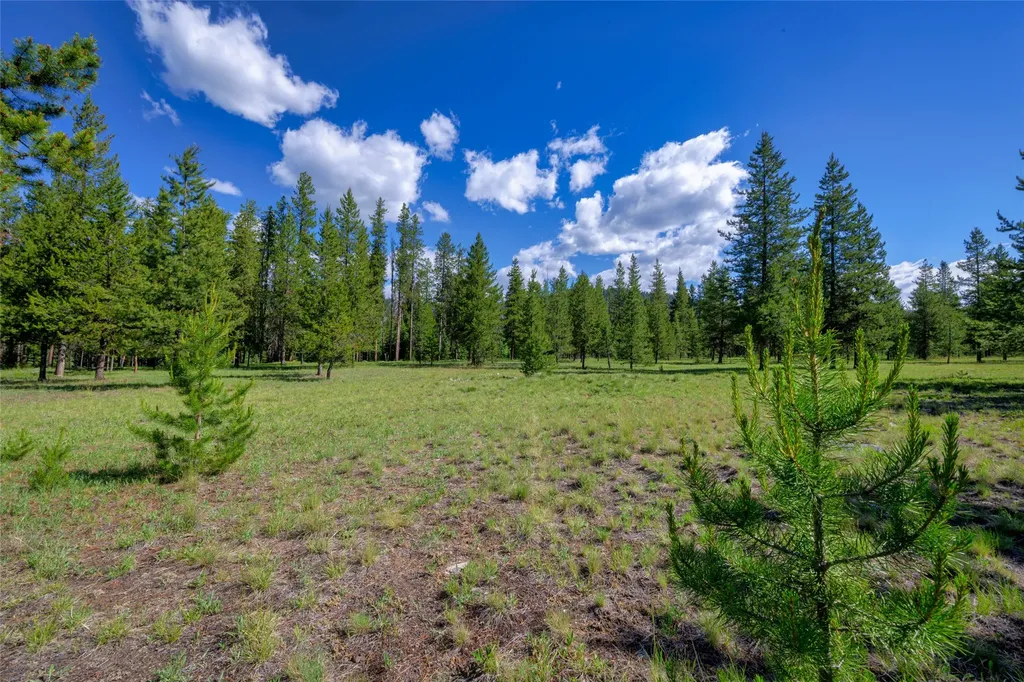 Nhn Happy Acres Lane Sula MT 59871