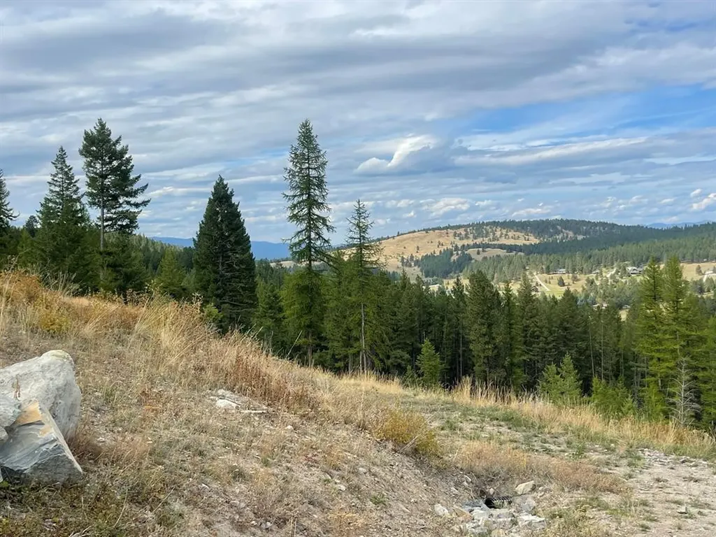 101 Overlook Ridge Kalispell MT 59901