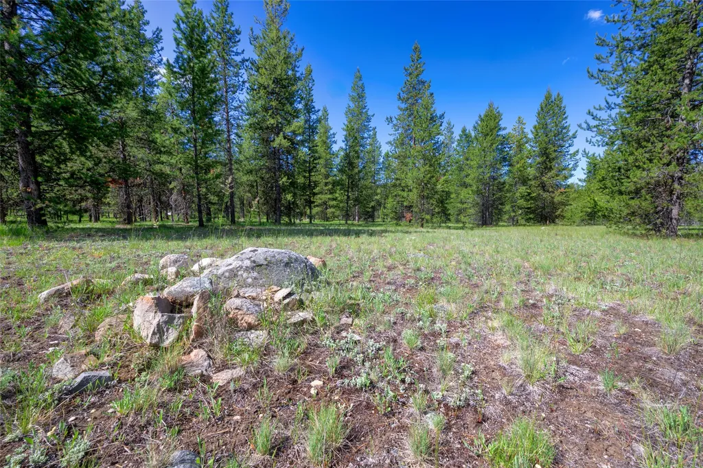 Nhn Happy Acres Lane Sula MT 59871