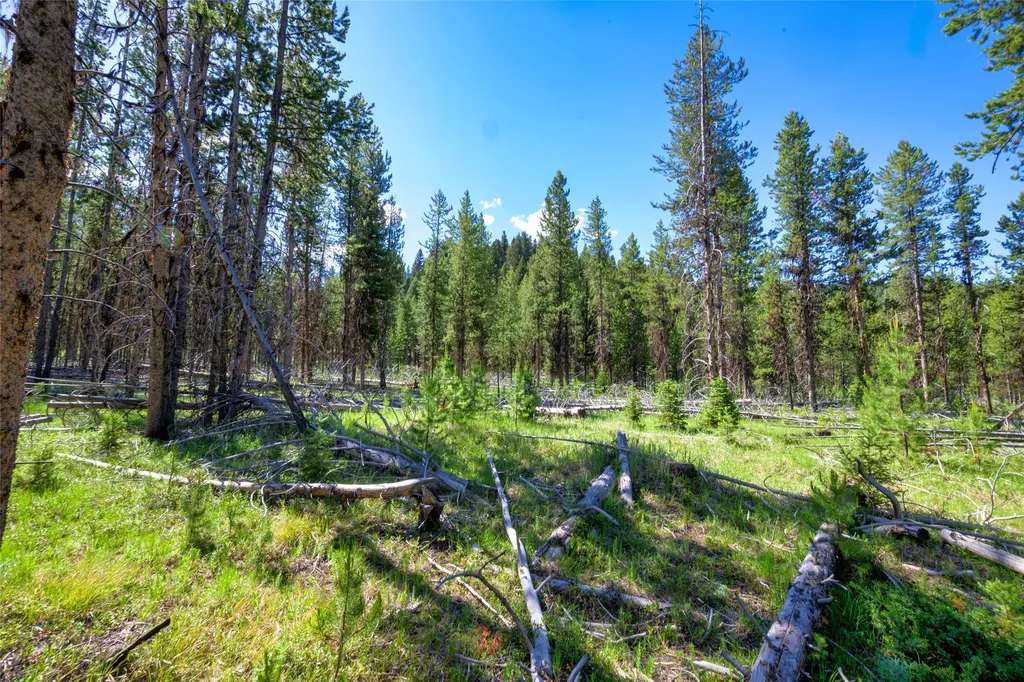 Nhn Happy Acres Lane Sula MT 59871