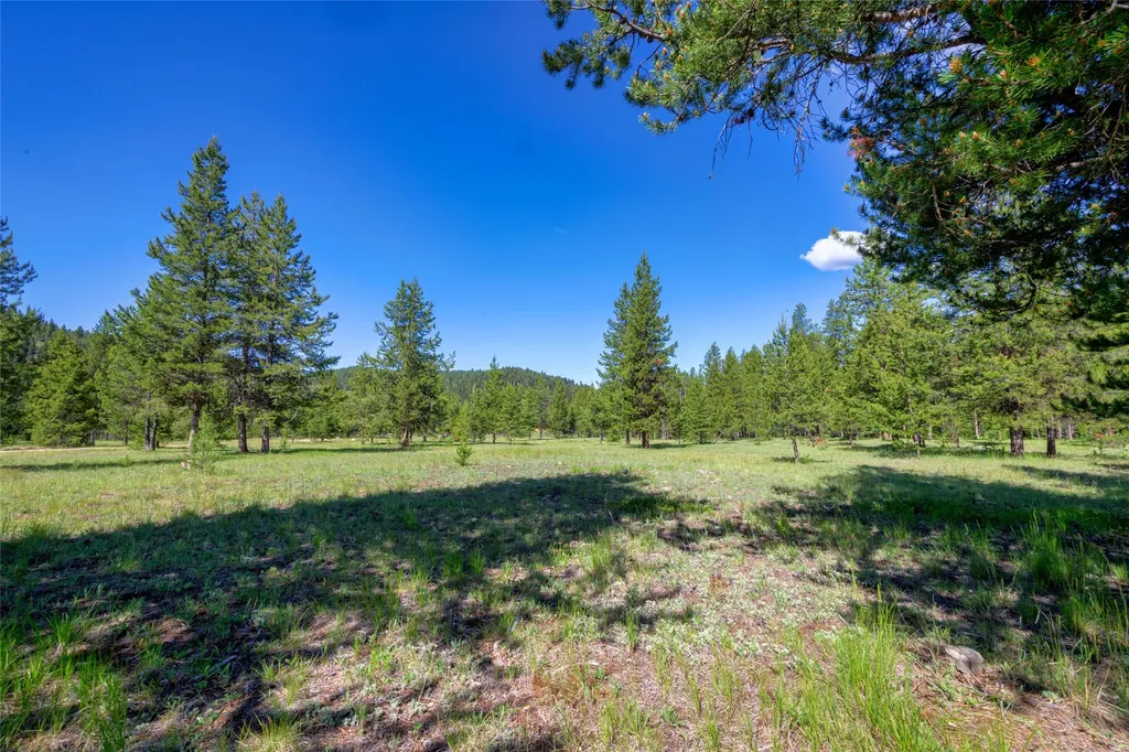 Nhn Happy Acres Lane Sula MT 59871