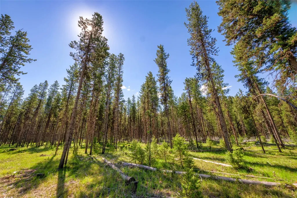 Nhn Happy Acres Lane Sula MT 59871