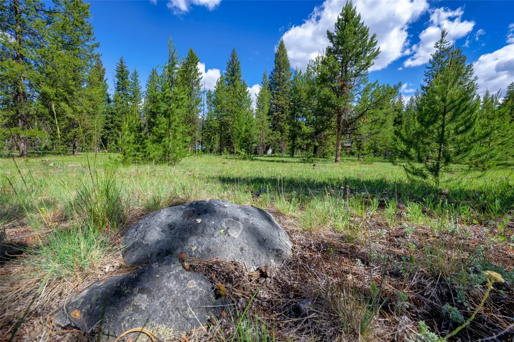 Nhn Happy Acres Lane Sula MT 59871