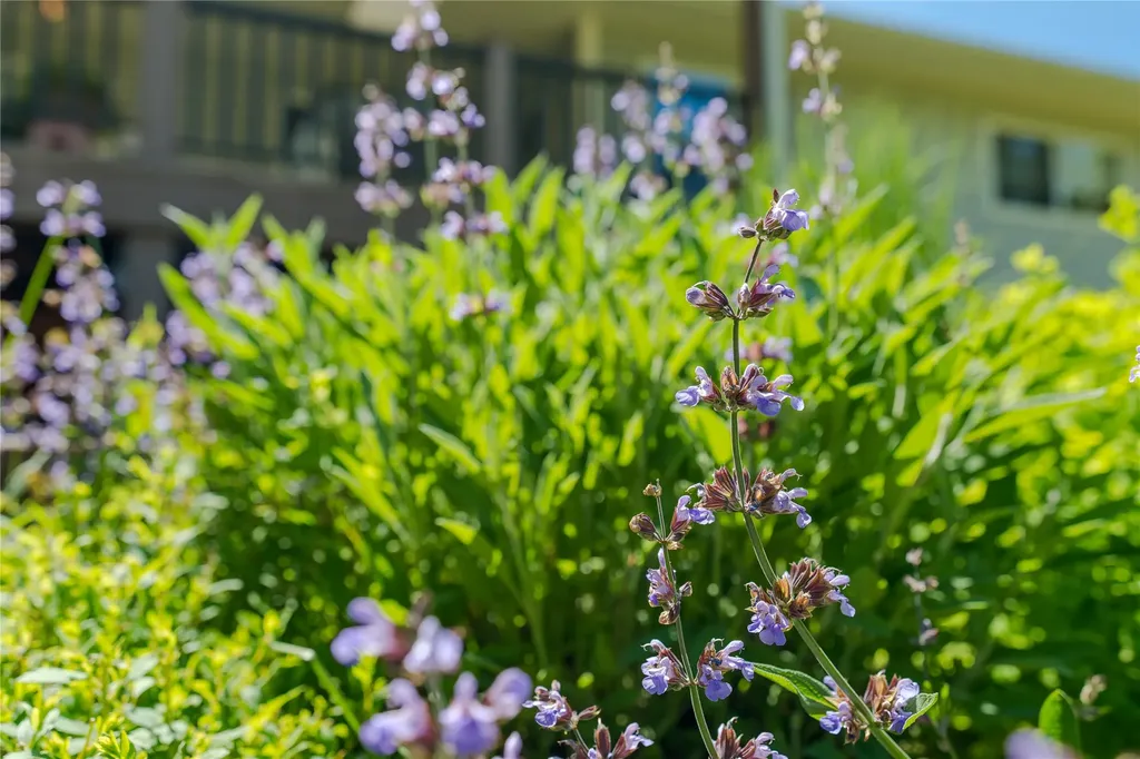 259 Highwood Drive Libby MT 59923