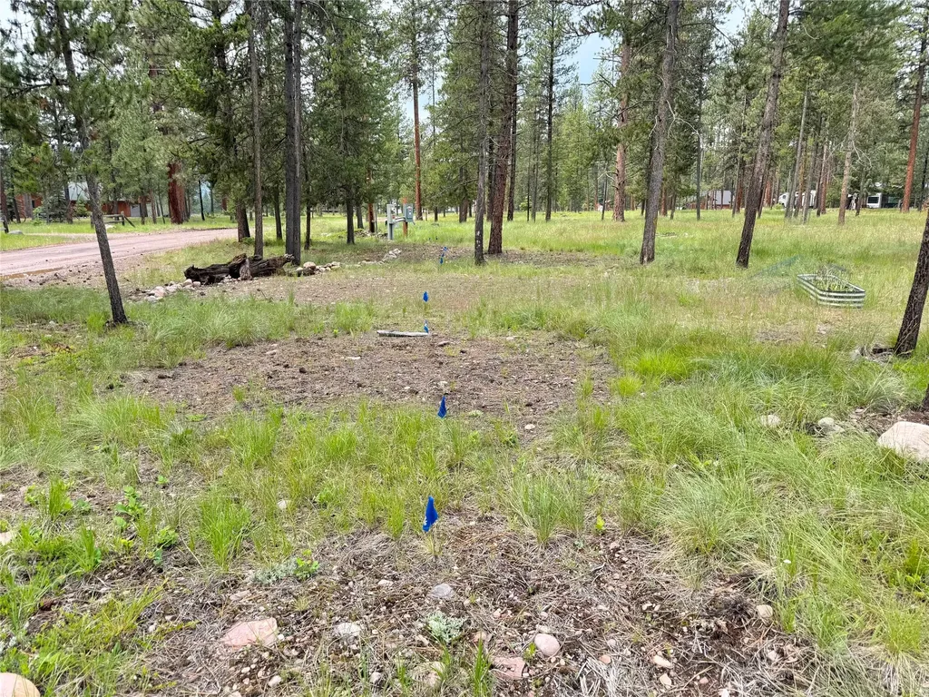 1032 Whitetail Drive Seeley Lake MT 59868