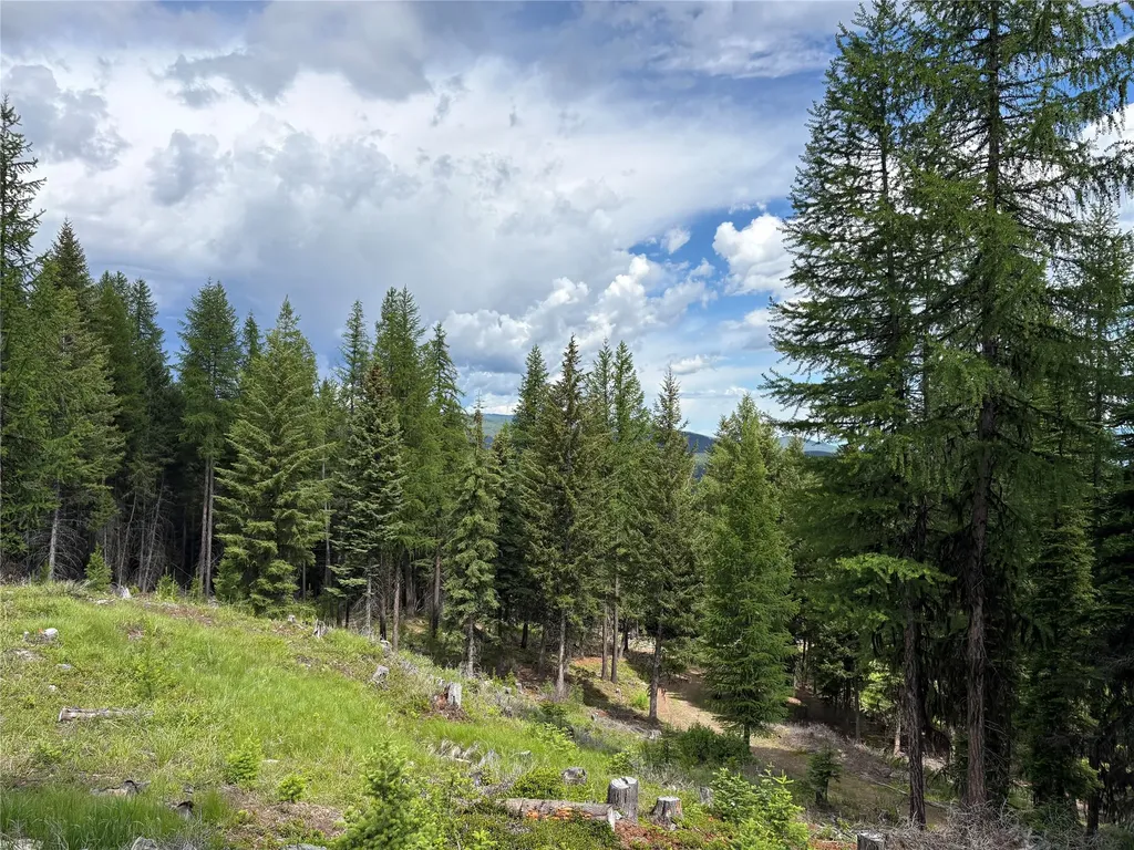 2662 Butcher Creek Road Trego MT 59934