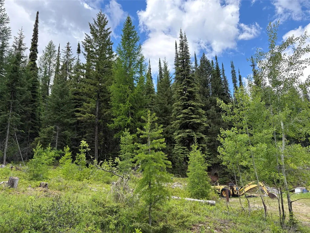 2662 Butcher Creek Road Trego MT 59934