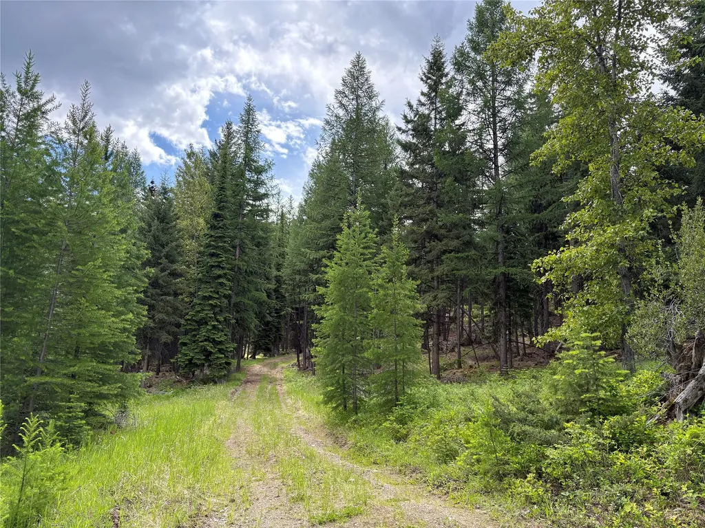 2662 Butcher Creek Road Trego MT 59934