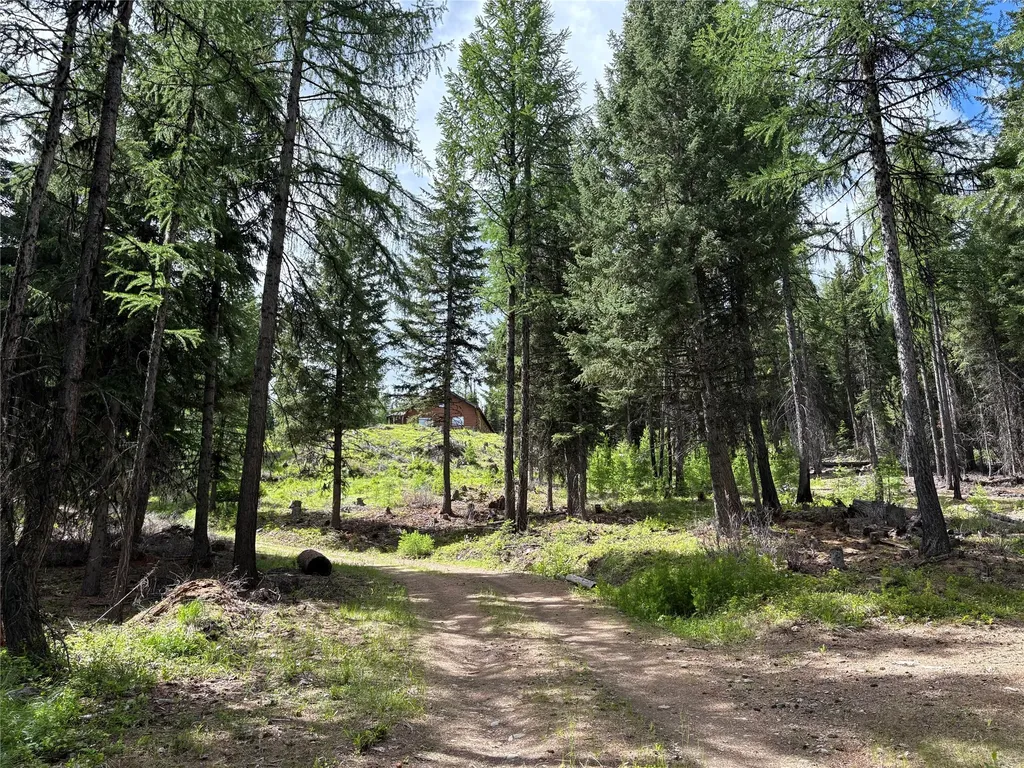 2662 Butcher Creek Road Trego MT 59934