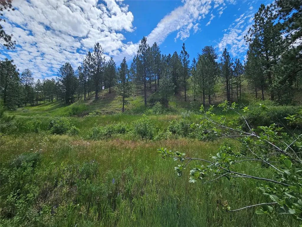 569 Creek Hollow Way Florence MT 59833