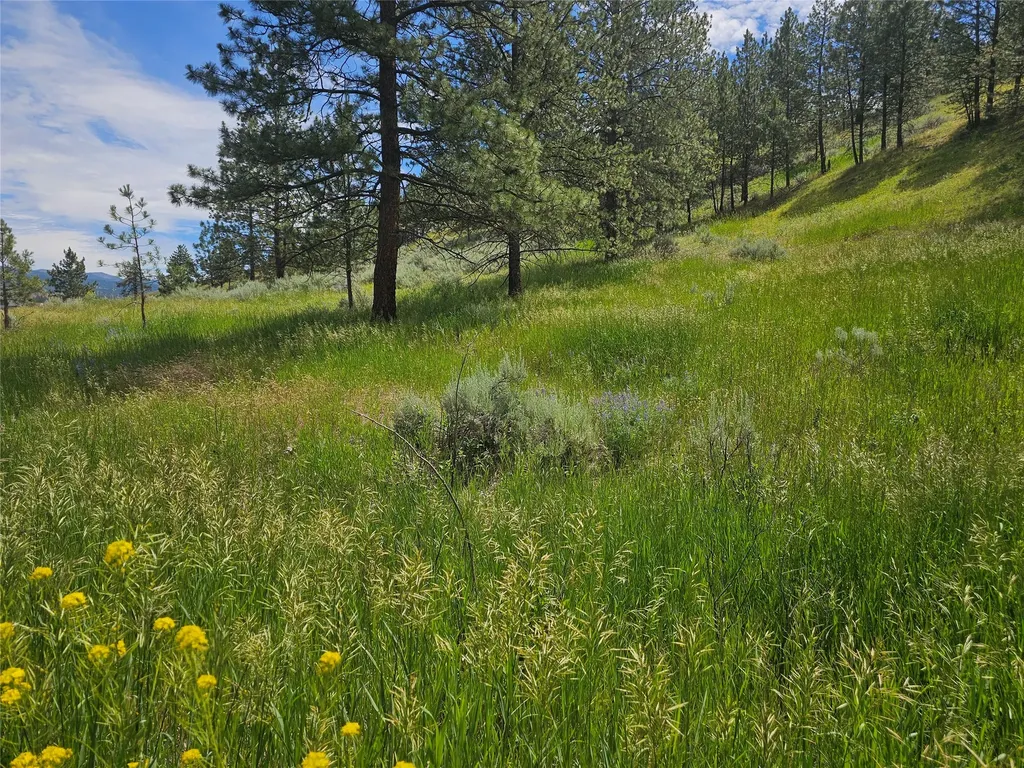 569 Creek Hollow Way Florence MT 59833