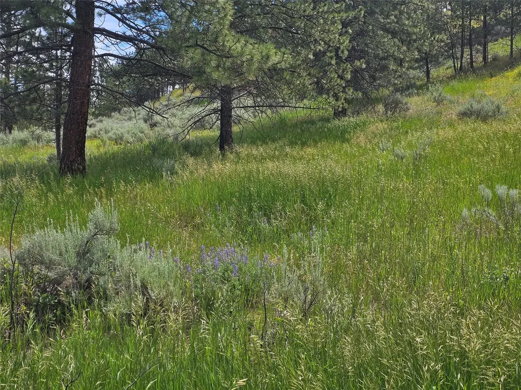 569 Creek Hollow Way Florence MT 59833