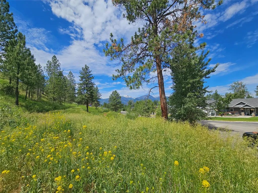 569 Creek Hollow Way Florence MT 59833