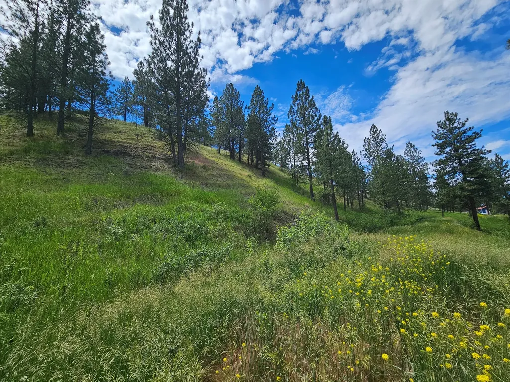 569 Creek Hollow Way Florence MT 59833