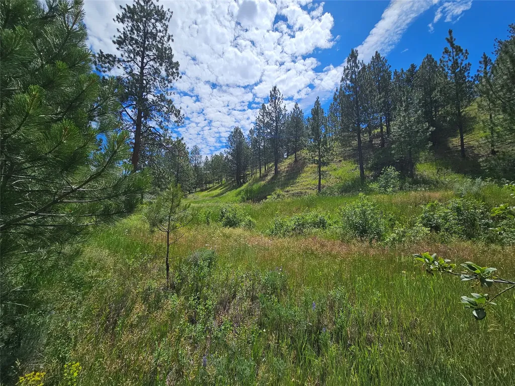 569 Creek Hollow Way Florence MT 59833
