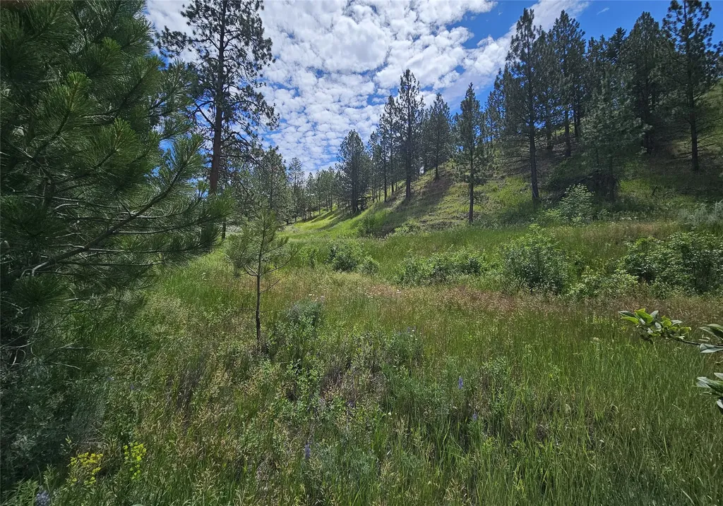 569 Creek Hollow Way Florence MT 59833