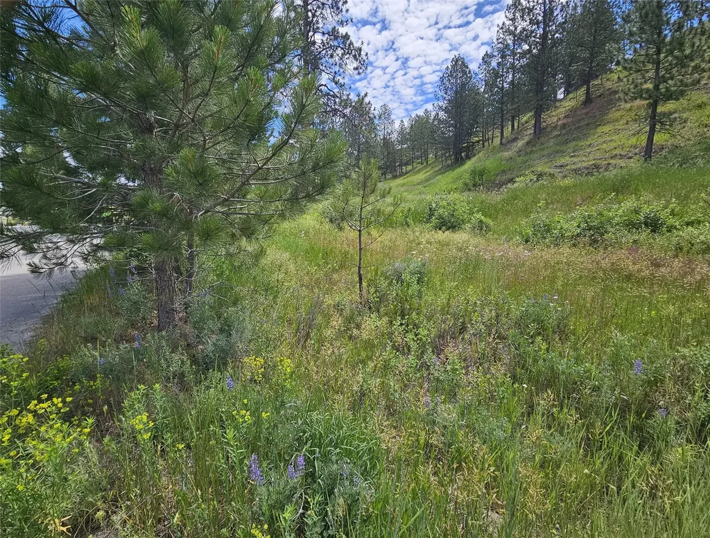 569 Creek Hollow Way Florence MT 59833