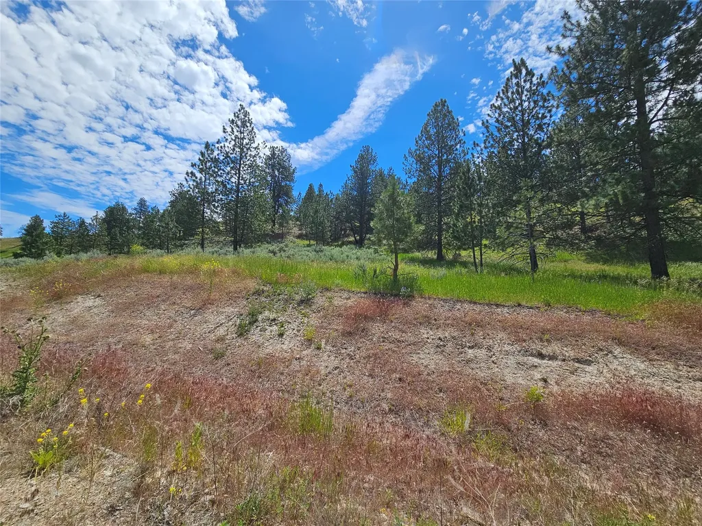 569 Creek Hollow Way Florence MT 59833
