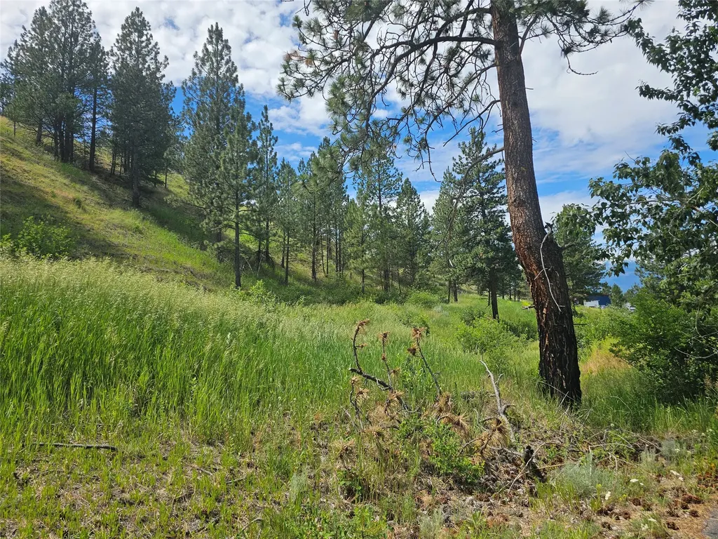 569 Creek Hollow Way Florence MT 59833