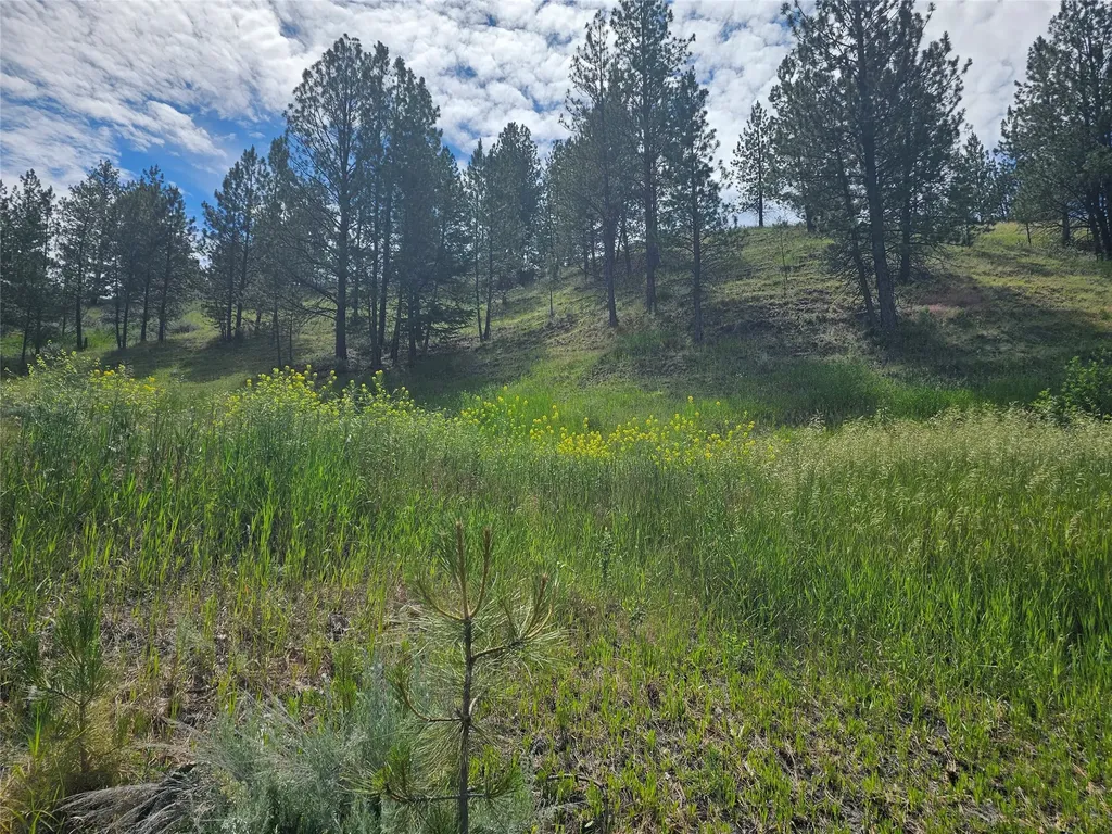 569 Creek Hollow Way Florence MT 59833