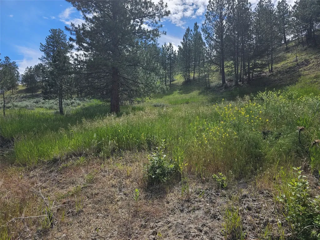 569 Creek Hollow Way Florence MT 59833