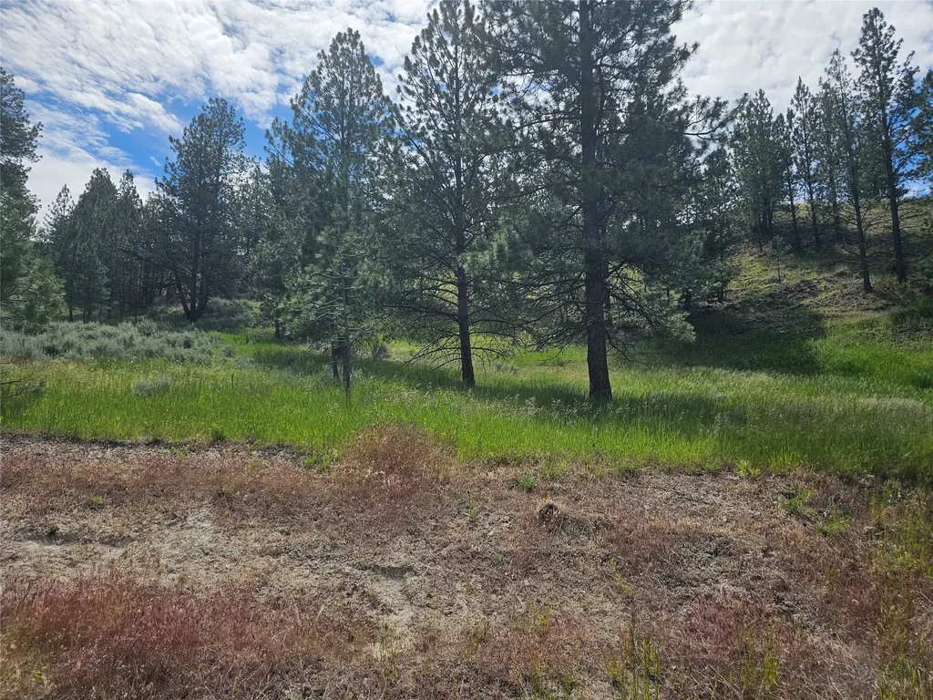 569 Creek Hollow Way Florence MT 59833
