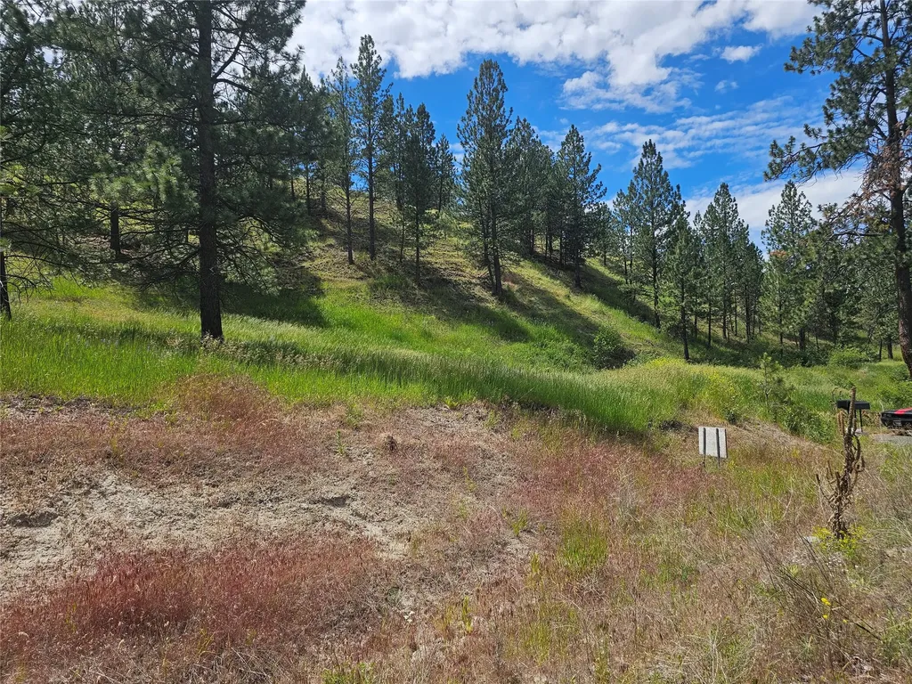 569 Creek Hollow Way Florence MT 59833