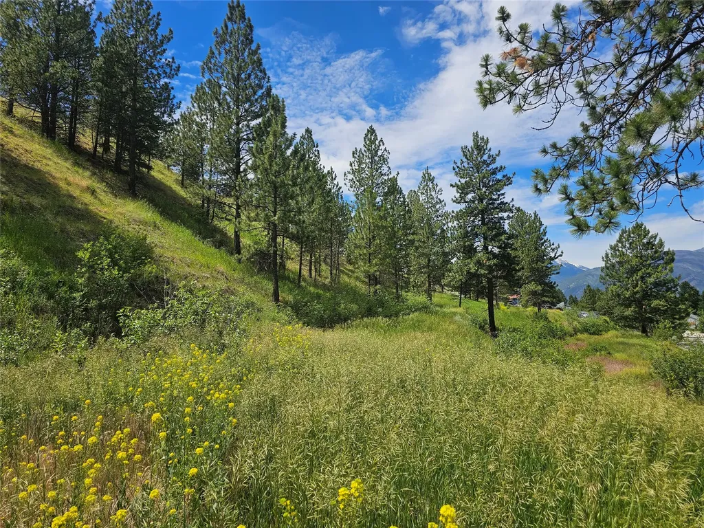 569 Creek Hollow Way Florence MT 59833