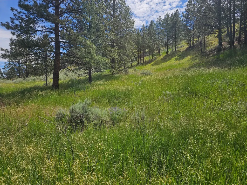569 Creek Hollow Way Florence MT 59833