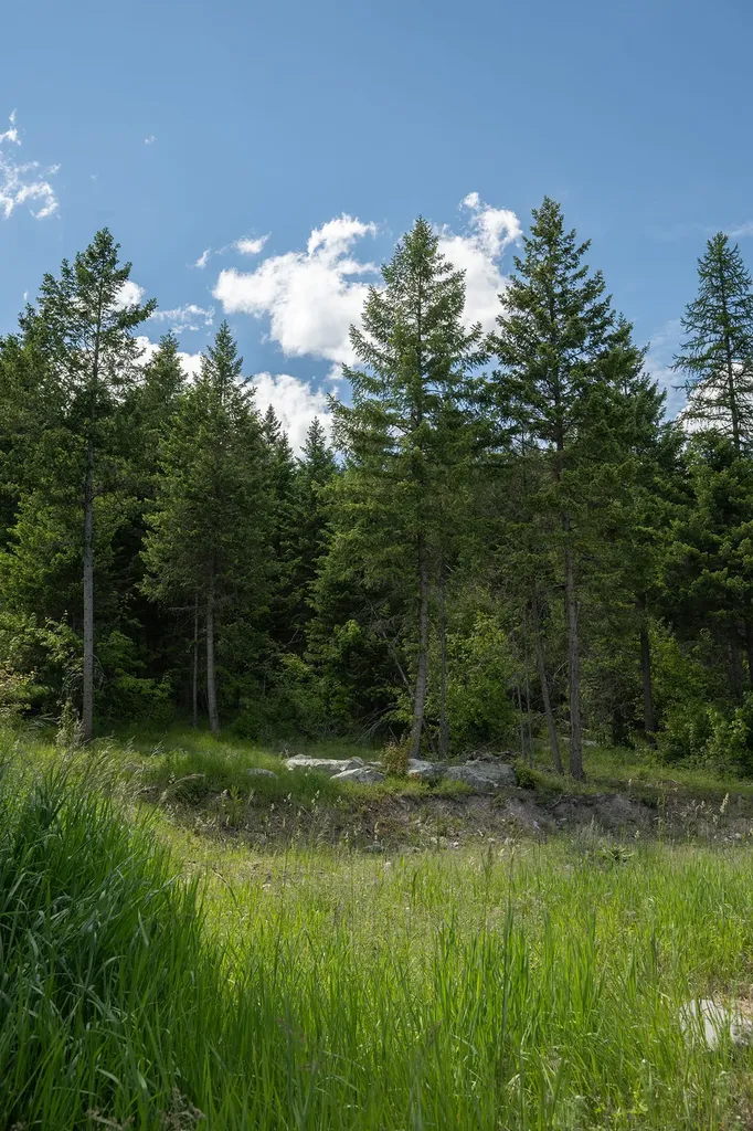 989 Mountain Meadow Road Kalispell MT 59901