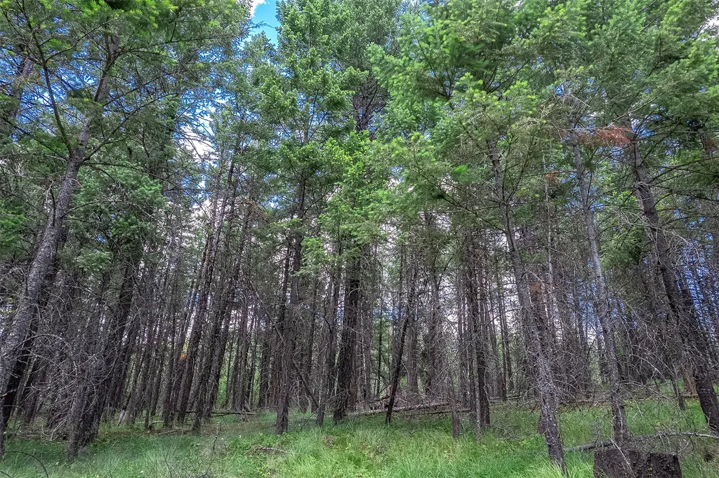 865 Lone Osprey Ridge Somers MT 59932