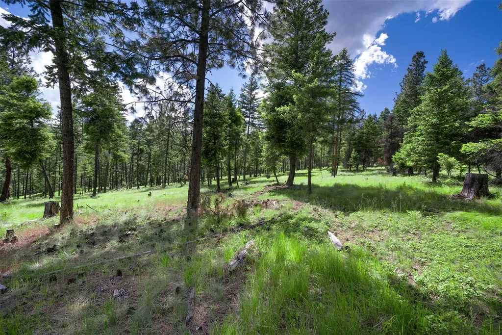 865 Lone Osprey Ridge Somers MT 59932