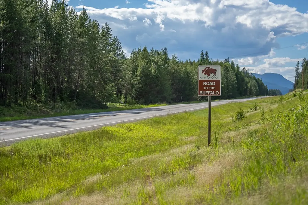 2658 Mt Highway 200 Trout Creek MT 59874
