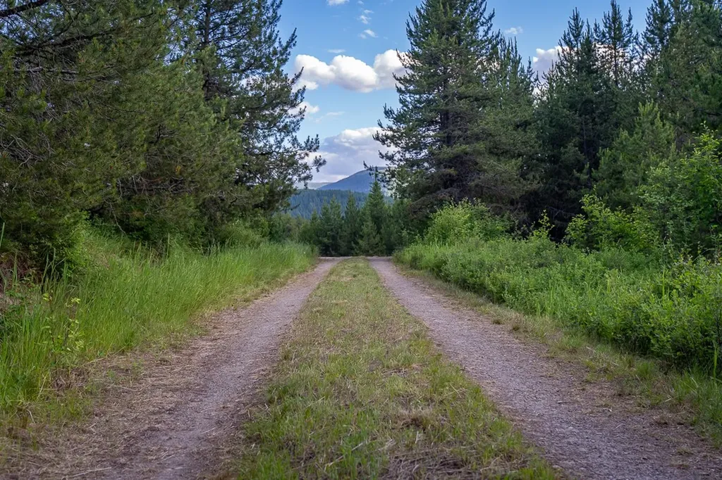 2658 Mt Highway 200 Trout Creek MT 59874