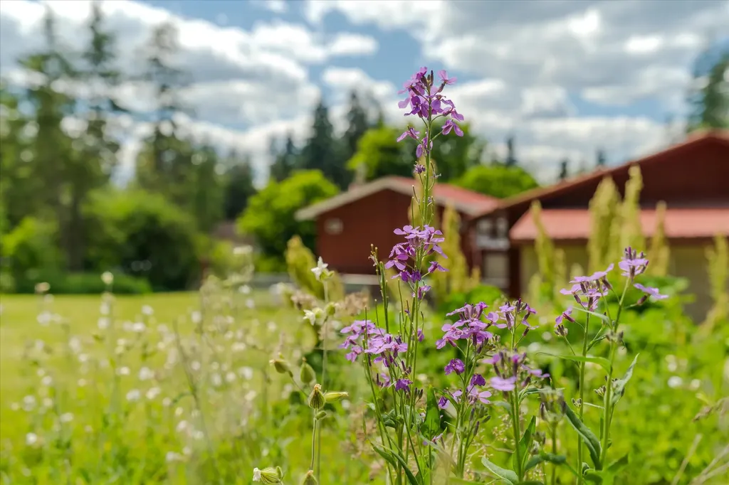 219 Cougar Trail Whitefish MT 59937