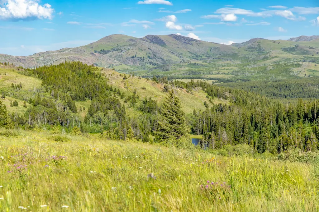 Nhn East Glacier Park East Glacier Park MT 59434