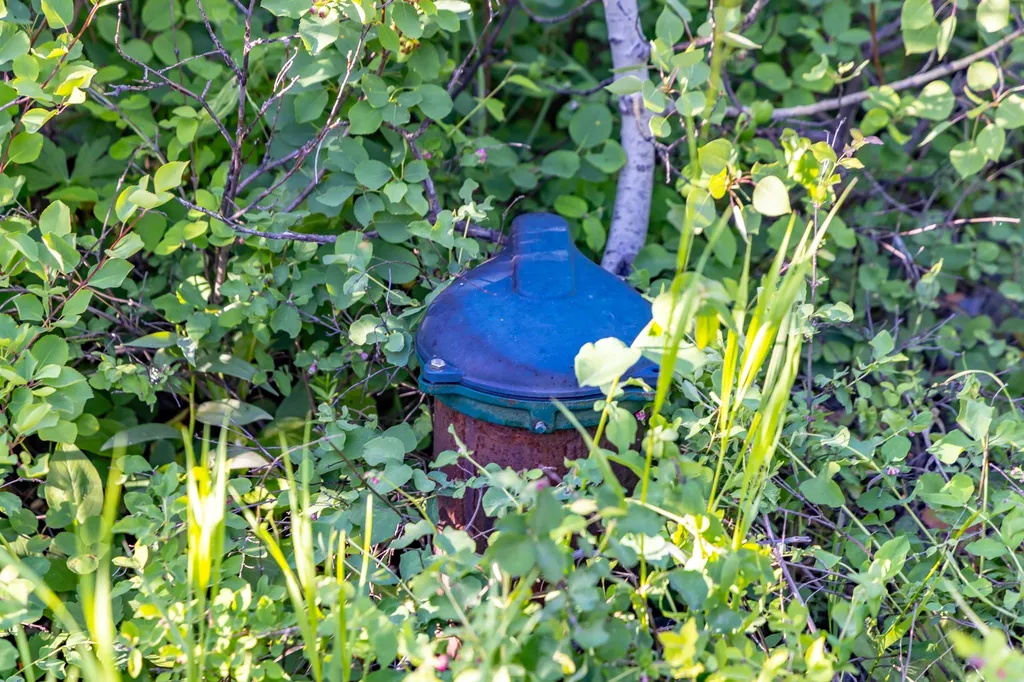 Nhn East Glacier Park East Glacier Park MT 59434