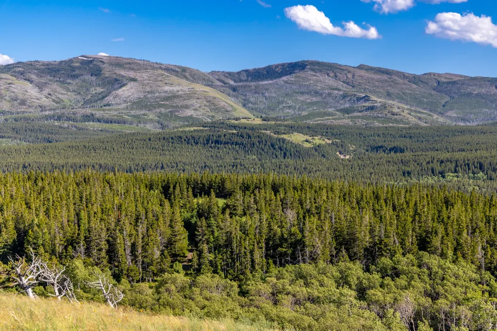 Nhn East Glacier Park East Glacier Park MT 59434