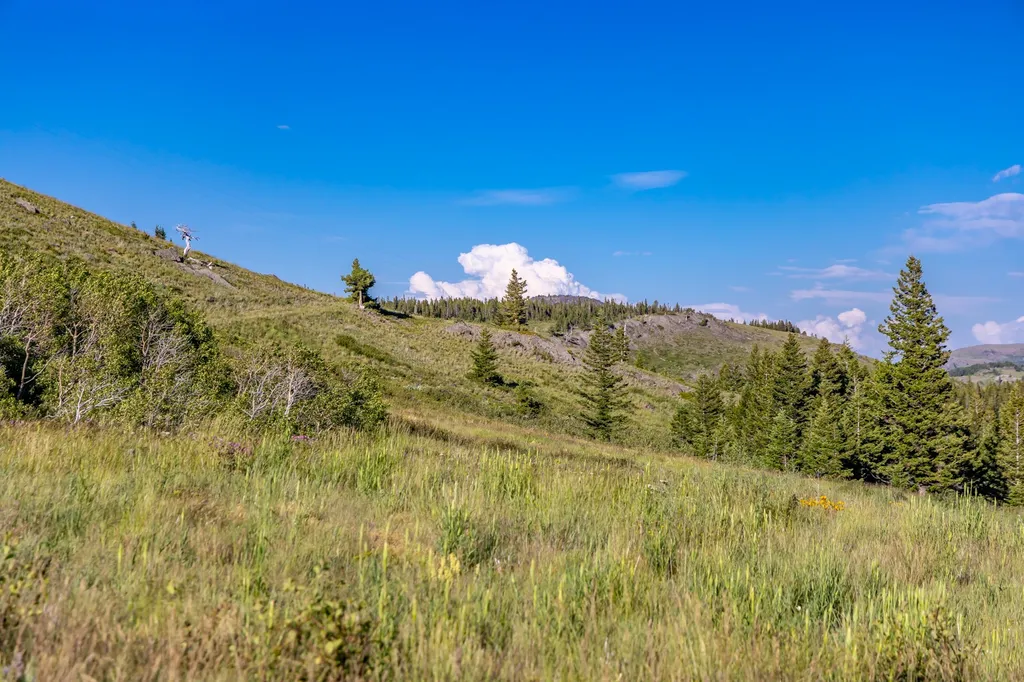 Nhn East Glacier Park East Glacier Park MT 59434